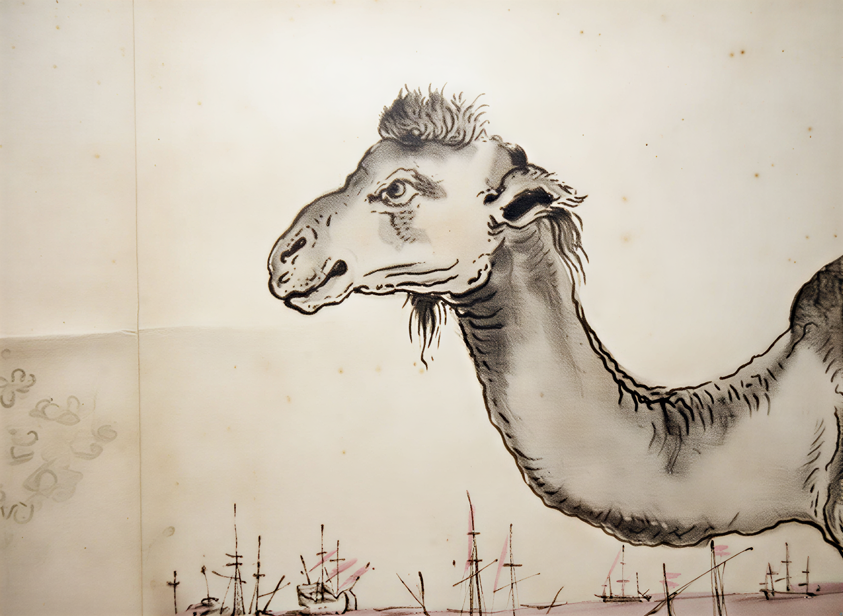 Camelus: L'Art de l'Insolite